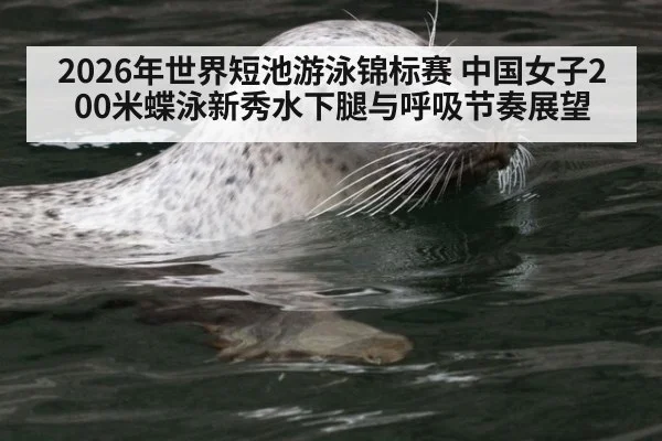 2026年世界短池游泳锦标赛 中国女子200米蝶泳新秀水下腿与呼吸节奏展望